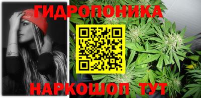 ECSTASY Чапаевск