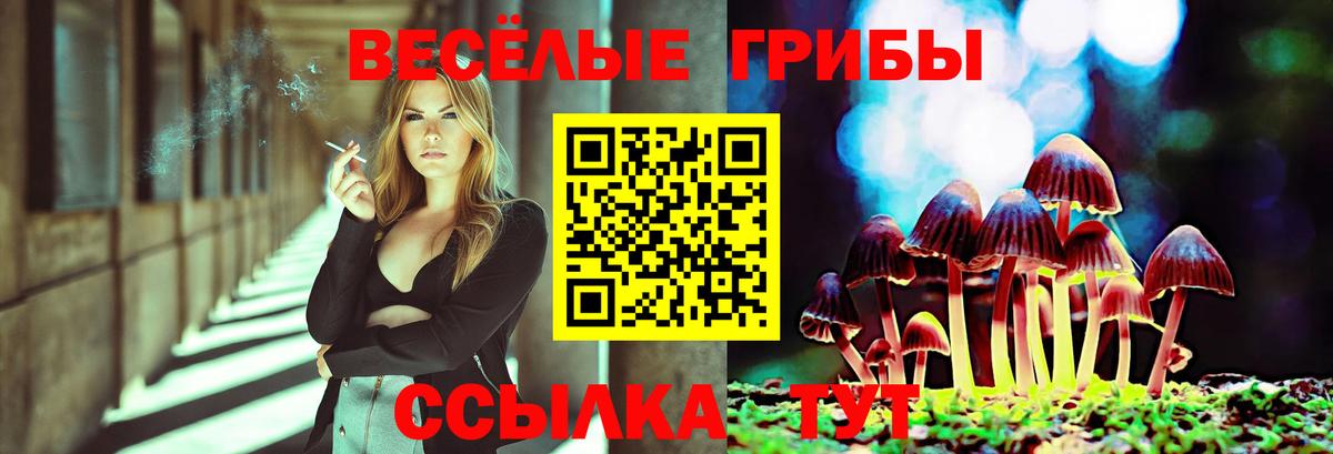 Троицк  Псилоцибиновые грибы мицелий  Вход с VPN 